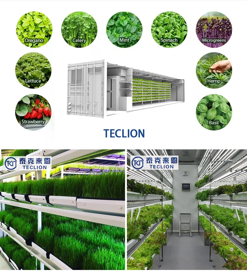 9600*720*2500mm Smart Water and Fertilizer Irrigation System Greenhouses Farm Container Veg Flower Grow Organic