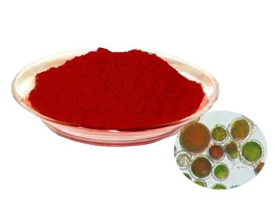 Food Grade Natural Astaxanthin Food Grade CAS 427-61-7 Herbal Plant Extract Health Food Additive Astaxanthin Antioxidant