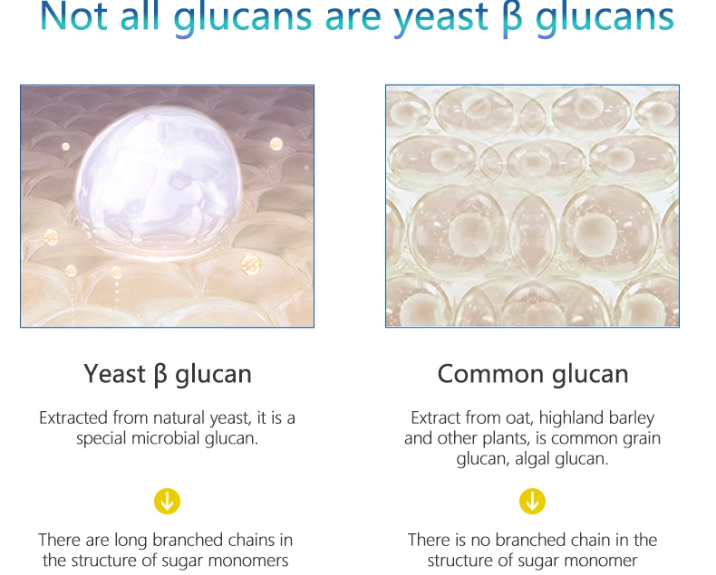 Yeast Extract 1 3 1 6 Beta Glucan 70% Yeast Beta Glucan