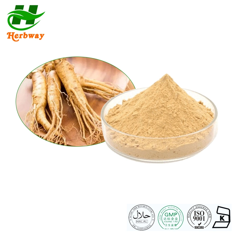 Herbway Plant Extract Free Sample Ginsenosides Powder Improve Immunity American Ginseng Root Extract