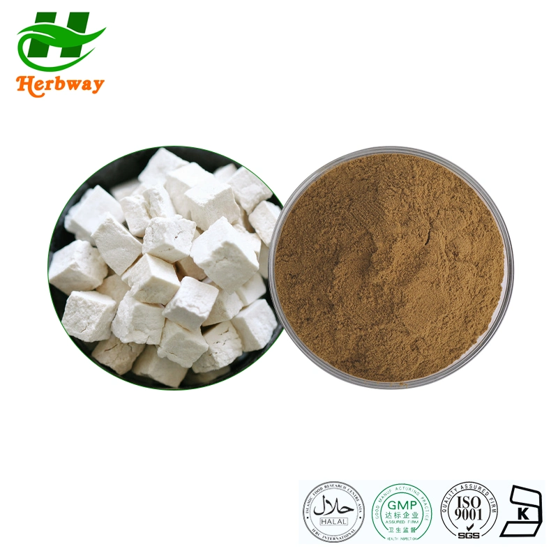 Herbway Factory Directly Sale Verkauf Tuckahoe Extract for Helping Sleep Lower Blood Sugar Poria Cocos Extract