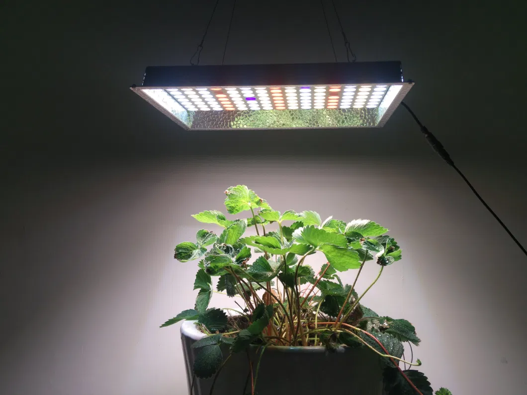 LED Grow Light Full Spectrum Hydroponic Indoor for Veg Flower