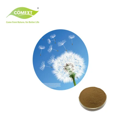 Comext Herb Factory fornisce direttamente l'integratore sanitario naturale al 100% 4: 1,10:1,20:1 Estratto di radice di dente di leone Estratto di radice di dente di leone Estratto antivirale di dente di leone